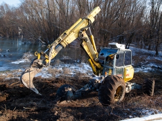 Mederkotrás az öbölben - fotó: Ónodi Zoltán