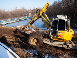 Mederkotrás az öbölben - fotó: Ónodi Zoltán