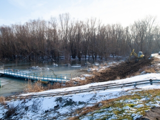 Mederkotrás az öbölben - fotó: Ónodi Zoltán