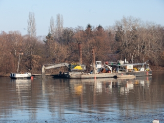Mederkotrás az öbölben - fotó: Ónodi Zoltán