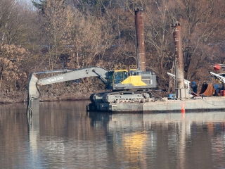 Mederkotrás az öbölben - fotó: Ónodi Zoltán