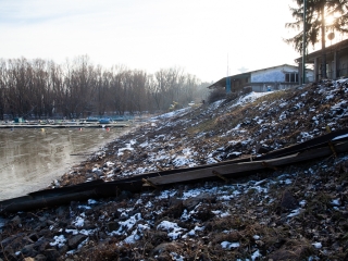 Mederkotrás az öbölben - fotó: Ónodi Zoltán