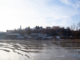 Mederkotrás az öbölben - fotó: Ónodi Zoltán