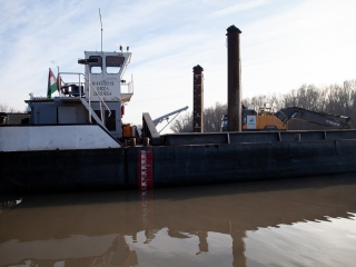 Mederkotrás az öbölben - fotó: Ónodi Zoltán