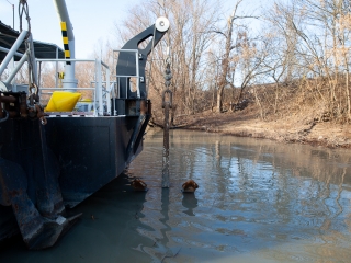 Mederkotrás az öbölben - fotó: Ónodi Zoltán