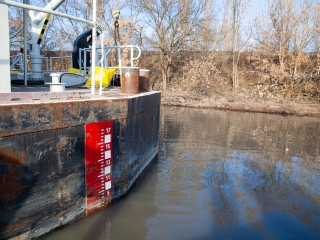 Mederkotrás az öbölben - fotó: Ónodi Zoltán