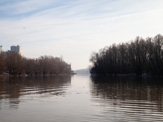 Mederkotrás az öbölben - fotó: Ónodi Zoltán