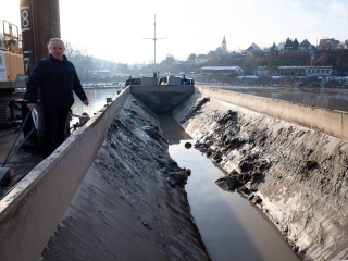 Mederkotrás az öbölben - fotó: Ónodi Zoltán