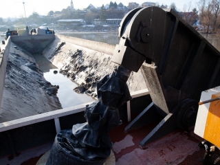 Mederkotrás az öbölben - fotó: Ónodi Zoltán