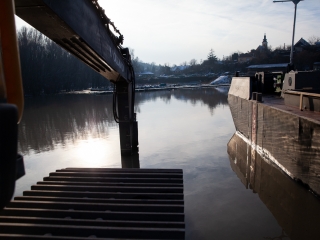 Mederkotrás az öbölben - fotó: Ónodi Zoltán