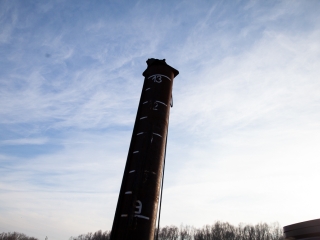 Mederkotrás az öbölben - fotó: Ónodi Zoltán