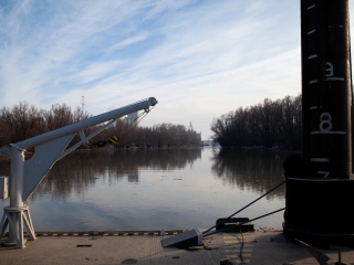 Mederkotrás az öbölben - fotó: Ónodi Zoltán