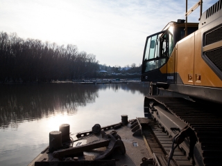 Mederkotrás az öbölben - fotó: Ónodi Zoltán