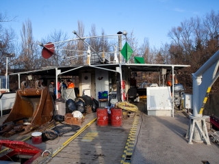 Mederkotrás az öbölben - fotó: Ónodi Zoltán