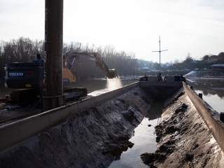 Mederkotrás az öbölben - fotó: Ónodi Zoltán
