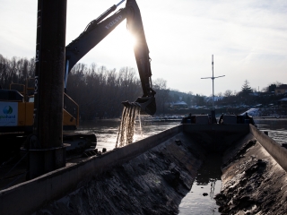 Mederkotrás az öbölben - fotó: Ónodi Zoltán