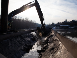 Mederkotrás az öbölben - fotó: Ónodi Zoltán