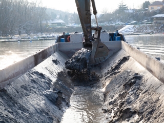 Mederkotrás az öbölben - fotó: Ónodi Zoltán