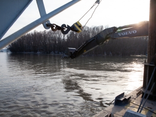 Mederkotrás az öbölben - fotó: Ónodi Zoltán