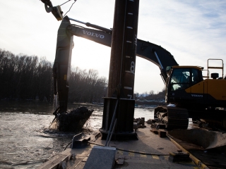 Mederkotrás az öbölben - fotó: Ónodi Zoltán