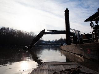 Mederkotrás az öbölben - fotó: Ónodi Zoltán
