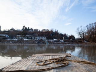 Mederkotrás az öbölben - fotó: Ónodi Zoltán