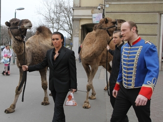Amerika Park Dunaújvárosban! - fotó: Sándor Judit