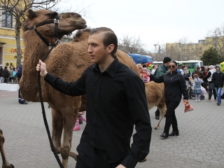 Amerika Park Dunaújvárosban! - fotó: Sándor Judit