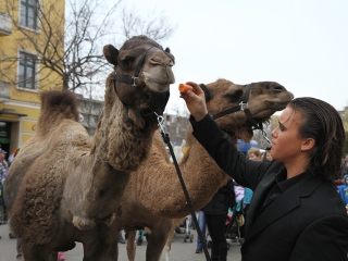 Amerika Park Dunaújvárosban! - fotó: Sándor Judit