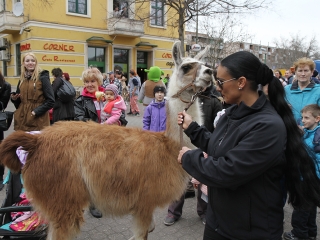 Amerika Park Dunaújvárosban! - fotó: Sándor Judit