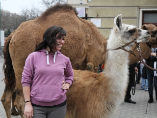 Amerika Park Dunaújvárosban! - fotó: Sándor Judit