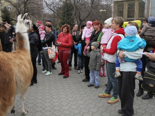 Amerika Park Dunaújvárosban! - fotó: Sándor Judit