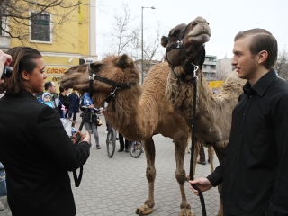 Amerika Park Dunaújvárosban! - fotó: Sándor Judit