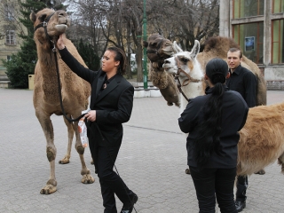 Amerika Park Dunaújvárosban! - fotó: Sándor Judit