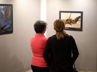 A Fabó házaspár kiállítása a Bartókban - fotó: Sándor Judit