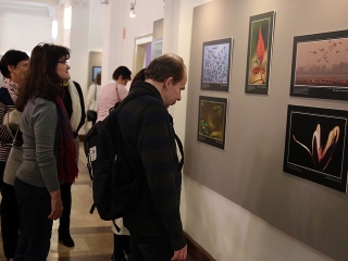 A Fabó házaspár kiállítása a Bartókban - fotó: Sándor Judit