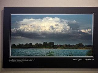 A Fabó házaspár kiállítása a Bartókban - fotó: Sándor Judit