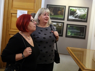 A Fabó házaspár kiállítása a Bartókban - fotó: Sándor Judit