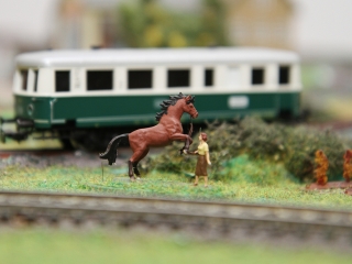 Vasútmodell kiállítás - fotó: Sándor Judit