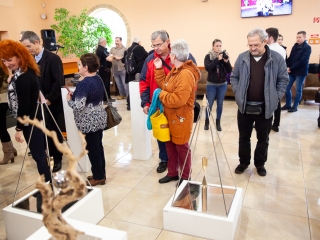 Gombos István kiállítása a Pannonban - fotó: Ónodi Zoltán