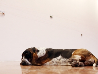 Minikiállítás a KMI-ben - fotó: Sándor Judit