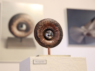 Gombos István kiállítása Pakson - fotó: Sándor Judit