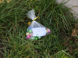 Nyuszifutás! Közeleg a húsvét! - fotó: Ónodi Zoltán