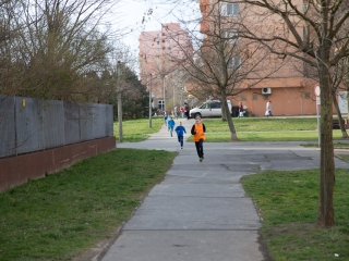 Nyuszifutás! Közeleg a húsvét! - fotó: Ónodi Zoltán