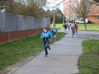 Nyuszifutás! Közeleg a húsvét! - fotó: Ónodi Zoltán