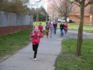 Nyuszifutás! Közeleg a húsvét! - fotó: Ónodi Zoltán