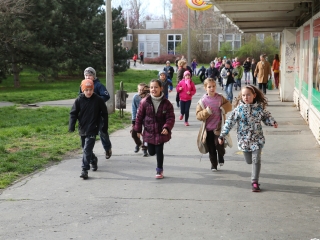 Nyuszifutás! Közeleg a húsvét! - fotó: Ónodi Zoltán