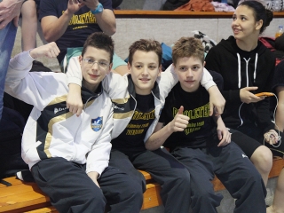 Aranyüst - fotó: Sándor Judit