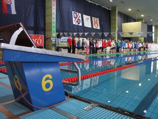 Aranyüst - fotó: Sándor Judit