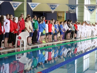 Aranyüst - fotó: Sándor Judit